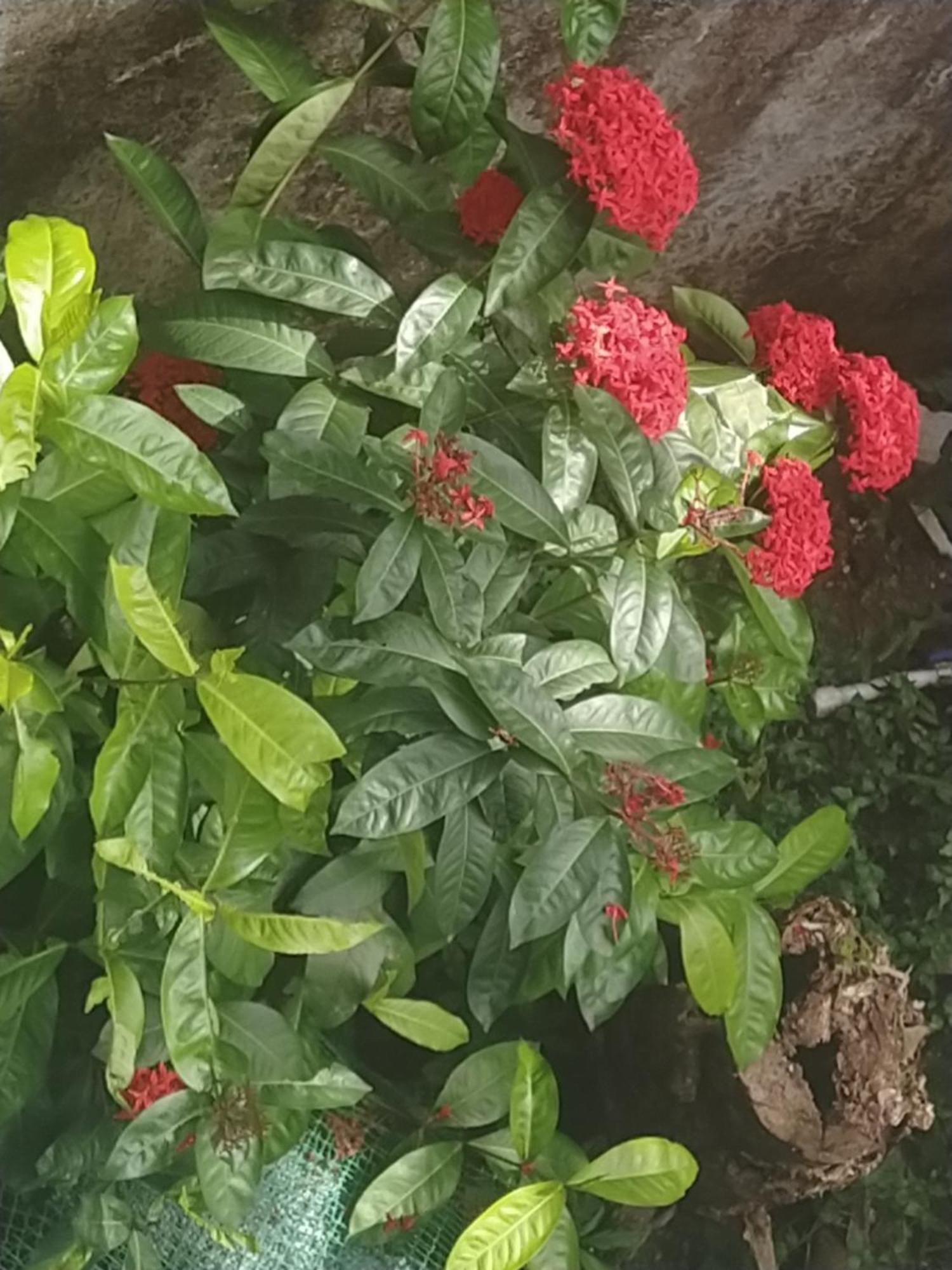 Paradise Inn Guest House Alappuzha Luaran gambar