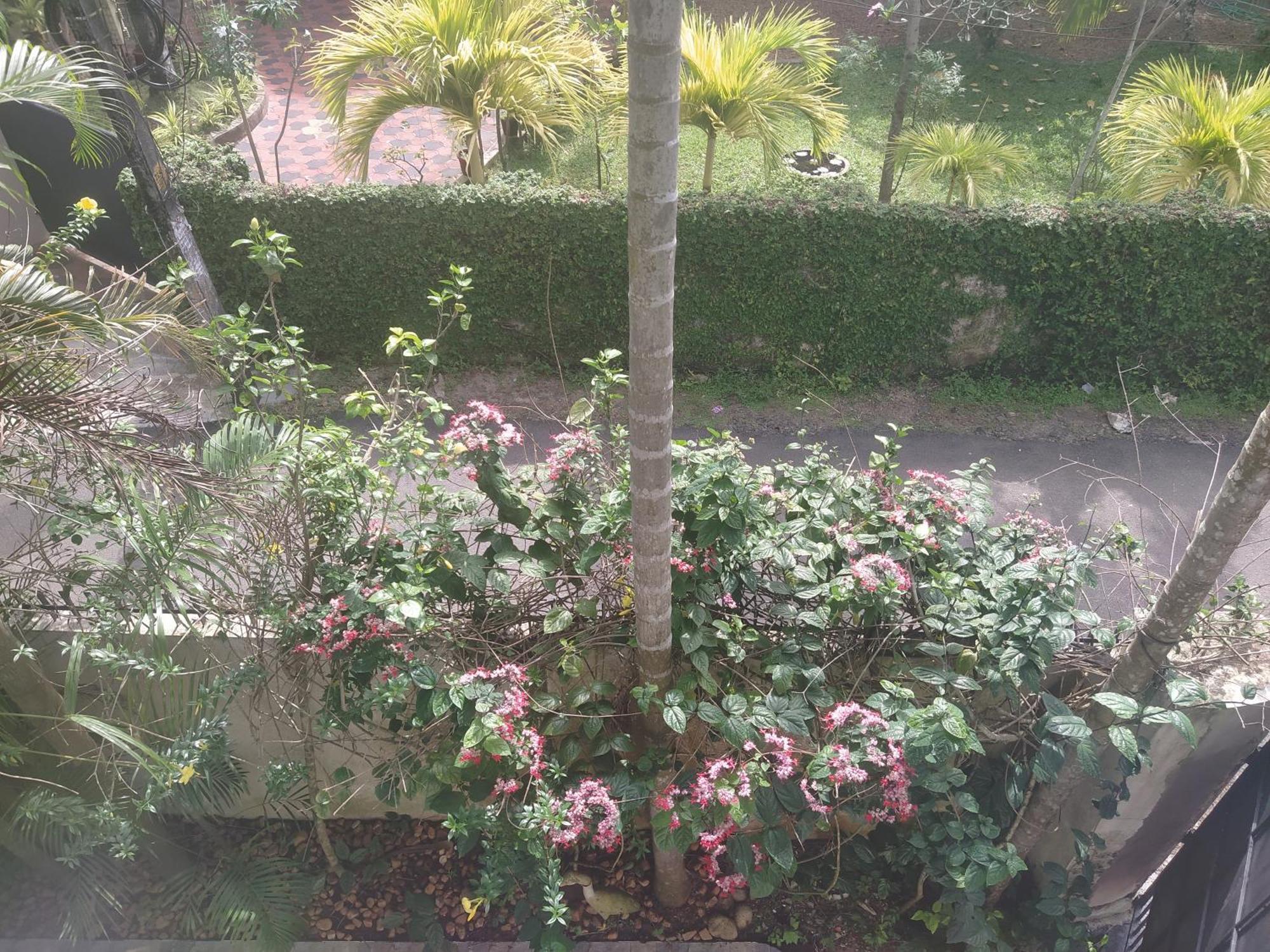 Paradise Inn Guest House Alappuzha Luaran gambar